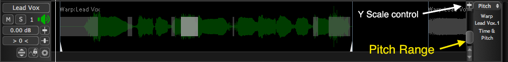 Warp Region - pitch contour not showing